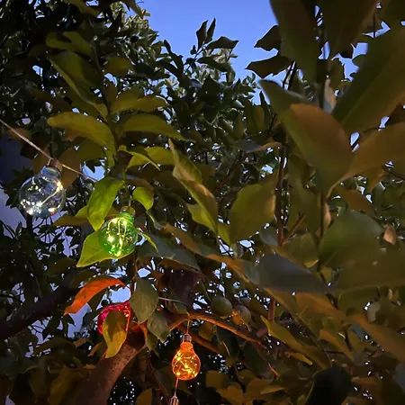 Niki Дом отдыха