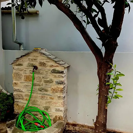 Niki Prázdninový dům *